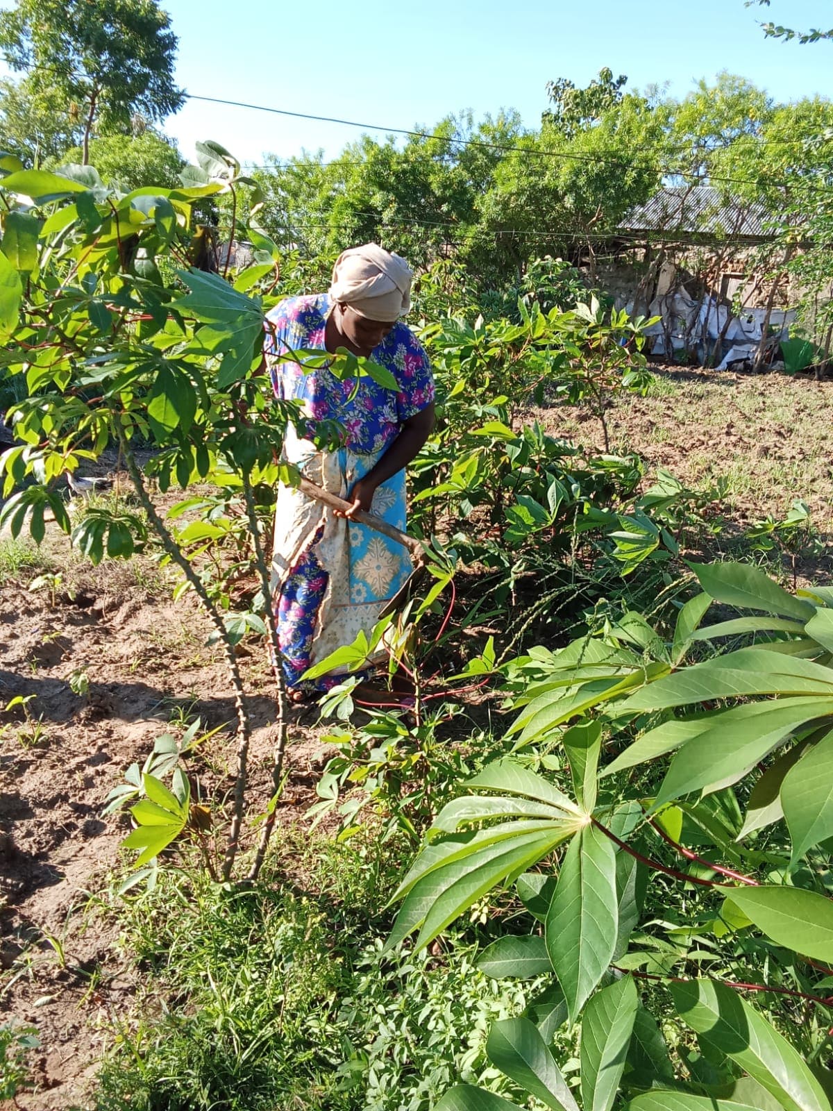 Climate-smart farming