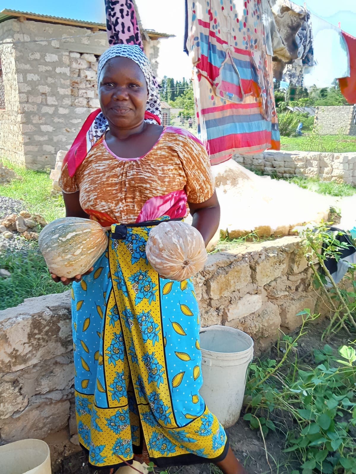 Farmer harvesting vegetables