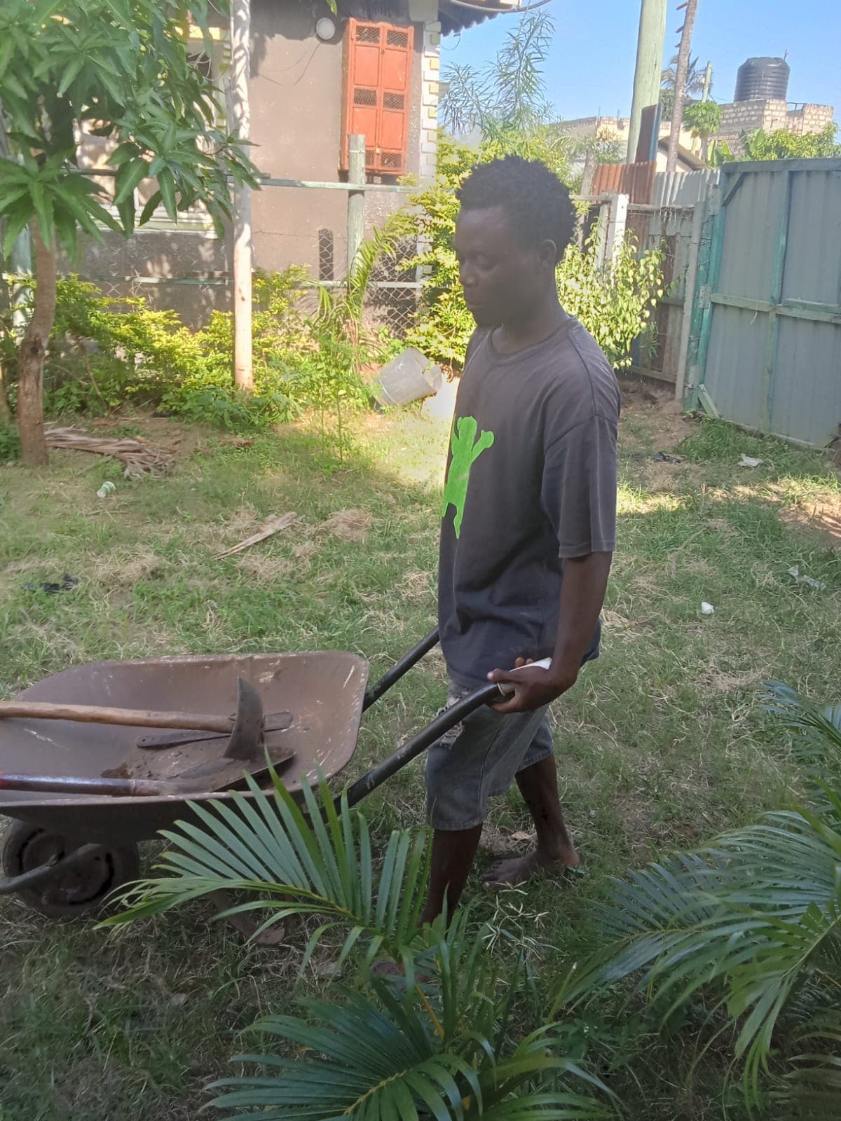 Community tree planting